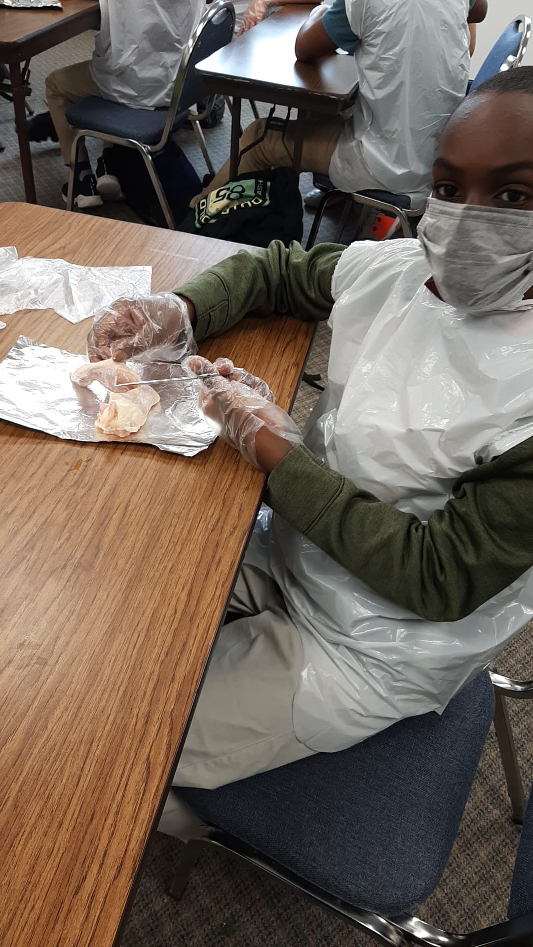 Muscular System Dissection Lab